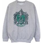 Harry Potter, Jungen, Pullover, Jungen Slytherin Distressed Sweatshirt, Grau, (116)