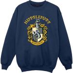 Harry Potter, Jungen, Pullover, Sweatshirt Jungen, Blau, (140, 146)