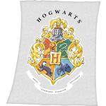 Bunte Harry Potter Kuscheldecken & Wohndecken aus Polyester 