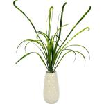 Grüne 40 cm Vasen & Blumenvasen 1 Teil 