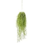 Grüne Moderne Kunstpflanzen & Textilpflanzen aus Kunststoff 