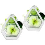 Weiße 14 cm Teelichter Orchideen aus Glas 