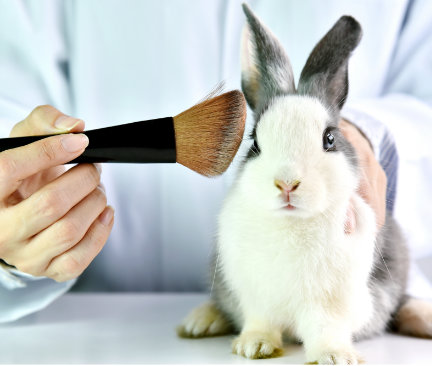 Kaninchen welches mit Puderpinsel geschminkt wird