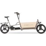 Graue E-Bikes & Elektrofahrräder für Damen 