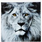 Schwarze KARE DESIGN Bilder & Wandbilder Löwen aus Kunststoff 
