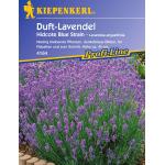 Blaue Kiepenkerl Balkonpflanzen & Beetpflanzen Lavendel winterfest 