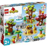 Lego Duplo Konstruktionsspielzeug & Bauspielzeug Löwen für 3 bis 5 Jahre 
