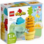 Lego Duplo Konstruktionsspielzeug & Bauspielzeug für 12 bis 24 Monate 