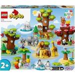 Lego Duplo Zoo Konstruktionsspielzeug & Bauspielzeug Löwen für 3 bis 5 Jahre 