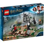 Lego Harry Potter Voldemort Konstruktionsspielzeug & Bauspielzeug 