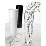 home24 Vasen & Blumenvasen aus Glas 