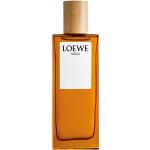 Loewe Eau de Toilette 100 ml für Herren 