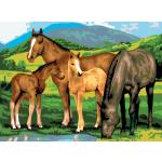 Pferde & Pferdestall Malen nach Zahlen Tiere 