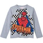 Marvel Spider-Man Pullover, Light Grey, 8 år