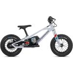 Silberne E-Mountainbikes für Kinder 12 Zoll mit Scheibenbremse 