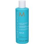 Parabenfreie Reparierende Moroccanoil Repair Shampoos 250 ml für  gefärbtes Haar ohne Tierversuche 