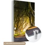 MuchoWow® Glasbilder - Bilder auf Wandbild - Foto auf Glas Berühmte dunkle Hecken in Nordirland 20x30 cm Wanddekoration aus Glas - Acrylglasbild - Acrylbilder - Acrylglas
