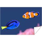 MuchoWow® Poster Fisch - Wasser - Nemo 120x80 cm - Bilder