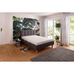 Weiße My Home Komfortschaummatratzen aus Kunstfaser 140x200 cm 