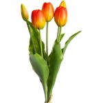 Orange 10 cm My Home Vasen & Blumenvasen Tulpen 
