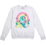 My Little Pony, Damen, Pullover, Sweatshirt, Grau, (L)