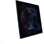 Nemesis Now Harry Potter Crystal Clear Picture Wanddekoration Ravenclaw Celestial 32 x 32 cm NEMN-B5639T1