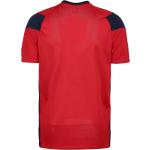 Rote Kurzärmelige Atmungsaktive Nike Park Derby V-Ausschnitt Trikots USA aus Polyester Größe M 