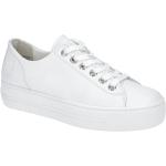 Weiße Paul Green Flache Sneaker Schnürung aus Glattleder mit herausnehmbarem Fußbett für Damen Größe 35,5 