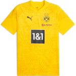 Borussia Dortmund | BVB Herrentrikots aus Polyester Größe M 