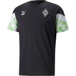 Puma Herren Borussia Mönchengladbach T-Shirt Iconic MCS 765177-02 S Puma Black-Classic Green