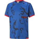 PUMA X BATMAN Graphic T-Shirt Kids Blau F02 - 658023 164