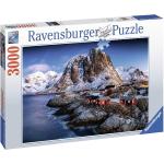 3000 Teile Ravensburger Puzzles Länder 