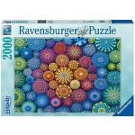 2000 Teile Ravensburger Puzzles Löwen 