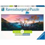 1000 Teile Ravensburger Puzzles für über 12 Jahre 