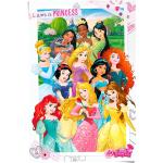 Reinders Poster »Disney Princess«
