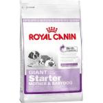 Royal Canin Giant Welpenfutter 