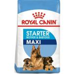 Royal Canin Maxi Welpenfutter 