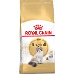 Royal Canin Trockenfutter für Katzen 