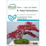 Rote SAFLAX Laubbäume & Zierbäume 