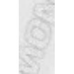 Weiße Salomon Caps aus Polyester Einheitsgröße 