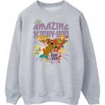 Scooby Doo, Damen, Pullover, Womens/Ladies The Amazing Scooby Sweatshirt, Grau, (M)