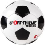 Sport-Thieme Fußball "Training", Größe 3
