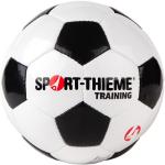 Sport-Thieme Fußball "Training", Größe 4