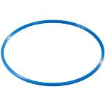 Blaue Sport Thieme Hula-Hoops aus Kunststoff 