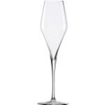 Stölzle Champagnergläser 300 ml aus Glas mundgeblasen 4 Teile 