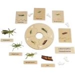 Lernspiele Insekten aus Holz 