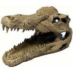 TRIXIE Krokodil-Schädel 14cm (Rabatt für Stammkunden 3%)