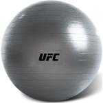 Silberne UFC Gymnastikbälle & Fitnessbälle aus Kunststoff 