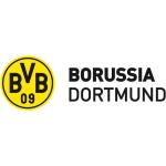 Wall-Art Wandtattoo »BVB Borussia Schriftzug mit Logo«, (1 St.)