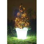 günstig Weihnachtsbäume online kaufen